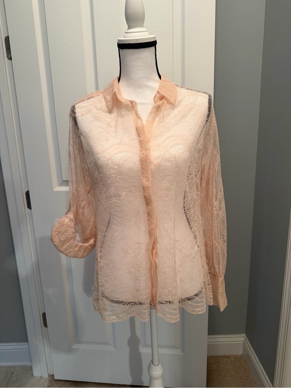 Delicate Sheer Lace Blouse in Blush - Women's Button-Front Top